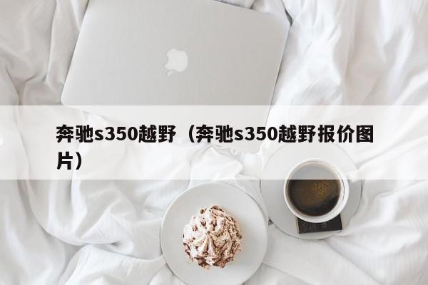 奔驰s350越野（奔驰s350越野报价图片）