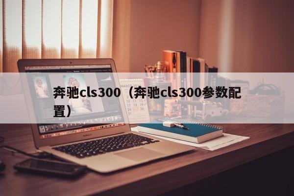 奔驰cls300（奔驰cls300参数配置）