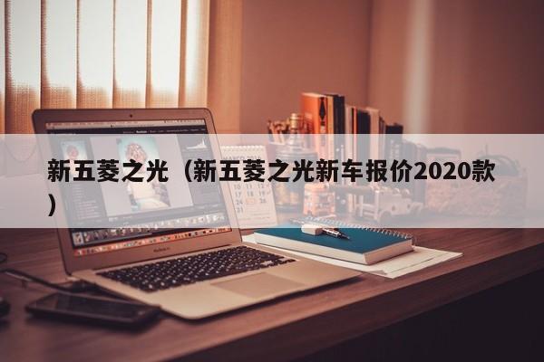 新五菱之光（新五菱之光新车报价2020款）