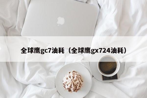 全球鹰gc7油耗（全球鹰gx724油耗）