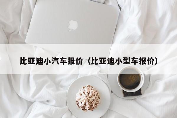 比亚迪小汽车报价（比亚迪小型车报价）