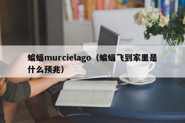 蝙蝠murcielago（蝙蝠飞到家里是什么预兆）