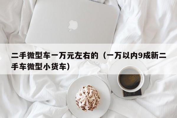 二手微型车一万元左右的（一万以内9成新二手车微型小货车）