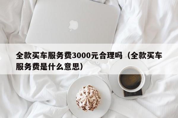 全款买车服务费3000元合理吗（全款买车服务费是什么意思）