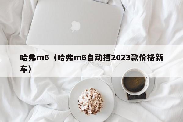 哈弗m6（哈弗m6自动挡2023款价格新车）