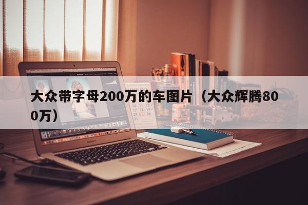 大众带字母200万的车图片（大众辉腾800万）