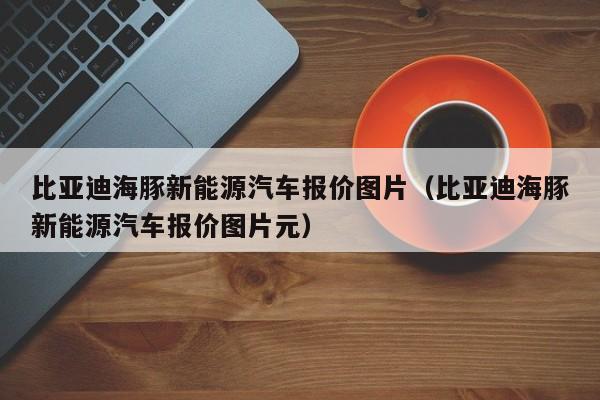 比亚迪海豚新能源汽车报价图片（比亚迪海豚新能源汽车报价图片元）