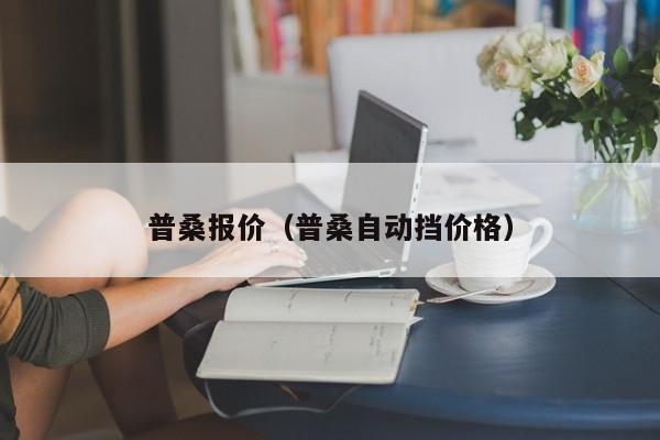 普桑报价（普桑自动挡价格）