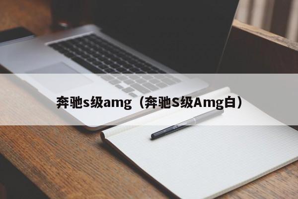 奔驰s级amg（奔驰S级Amg白）