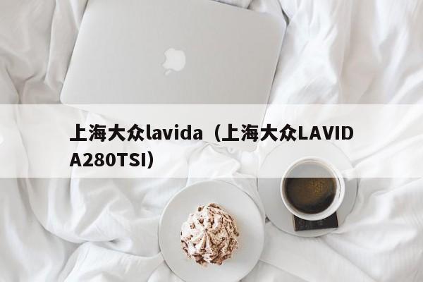 上海大众lavida（上海大众LAVIDA280TSI）