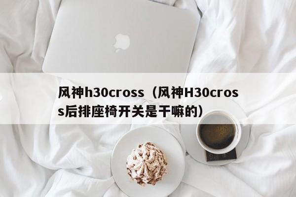 风神h30cross（风神H30cross后排座椅开关是干嘛的）