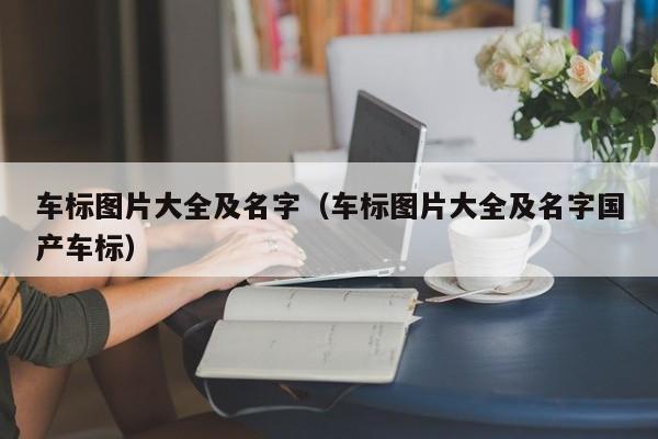 车标图片大全及名字（车标图片大全及名字国产车标）