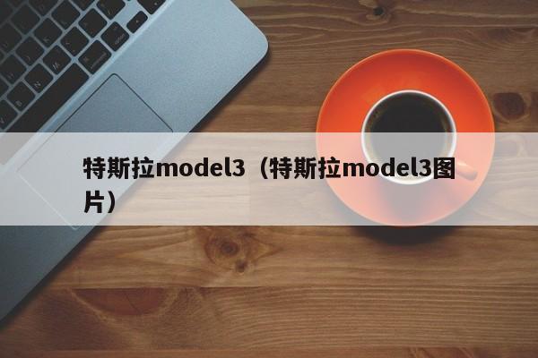 特斯拉model3（特斯拉model3图片）